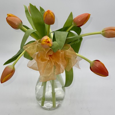 10 Orange Tulips