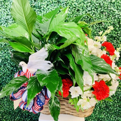 Small Peace Lily with Carnation Arrangement