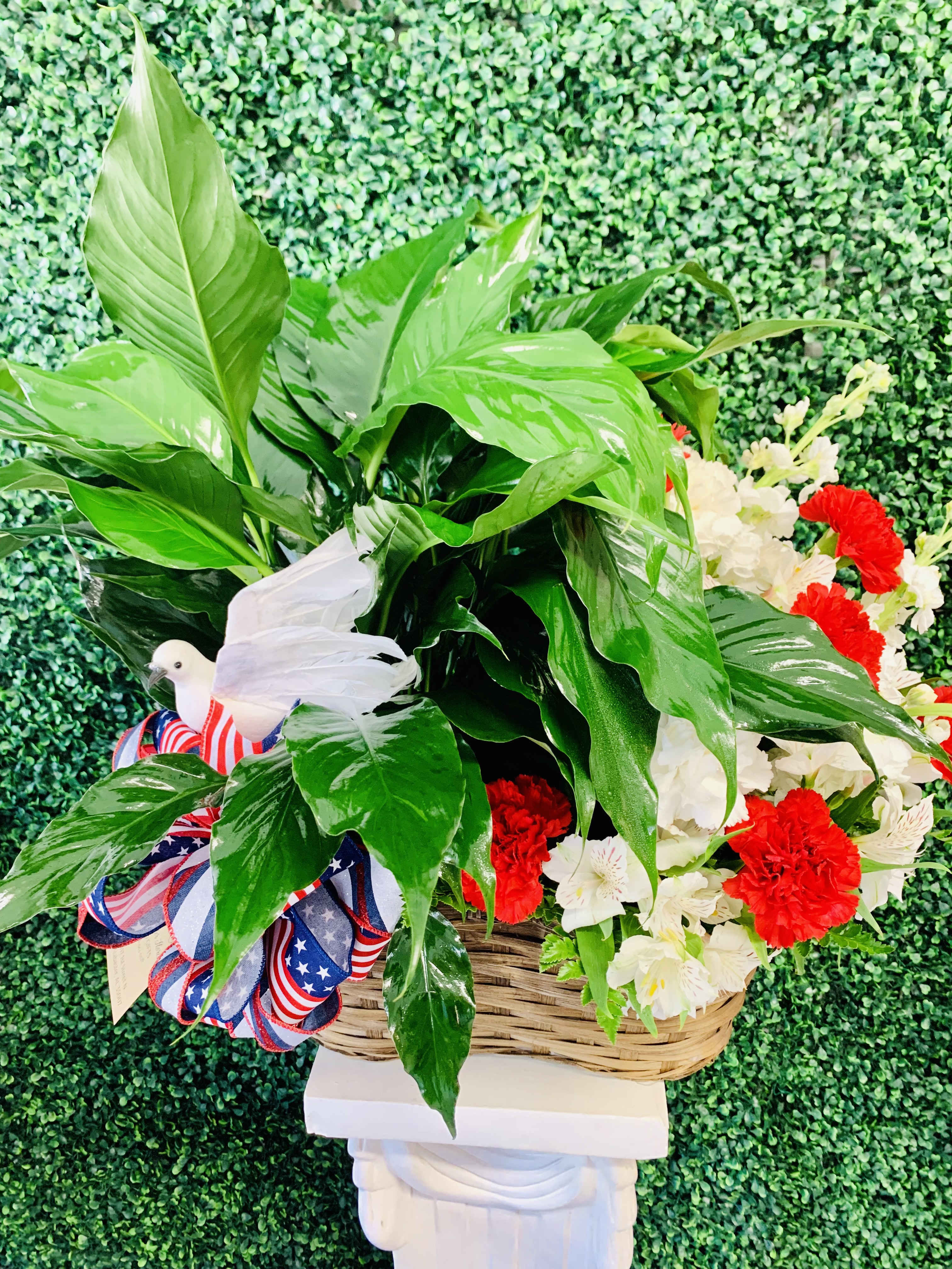 Small Peace Lily with Carnation Arrangement