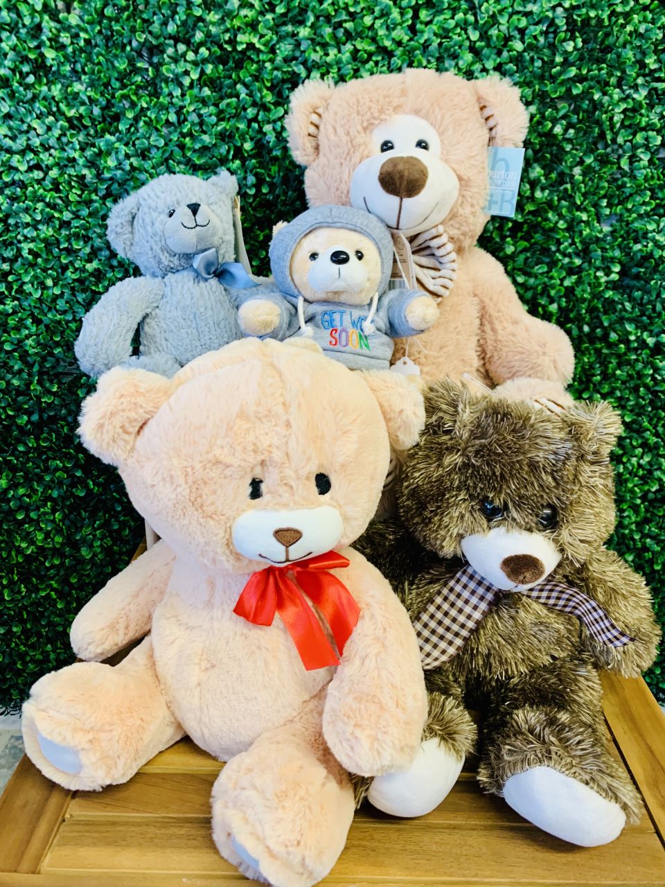Assorted Plush — Alabaster Florist