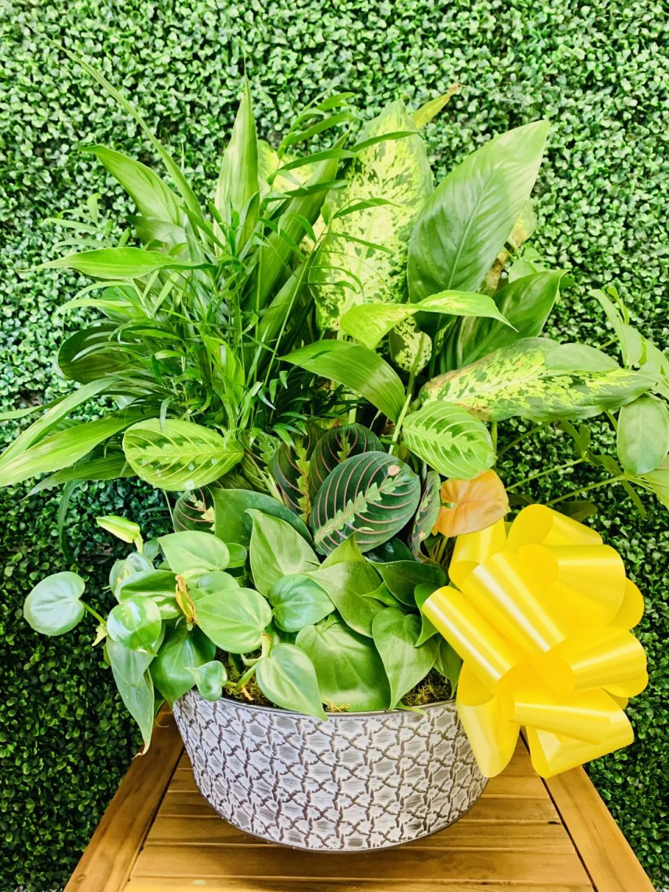 Large Garden Dish — Alabaster Florist